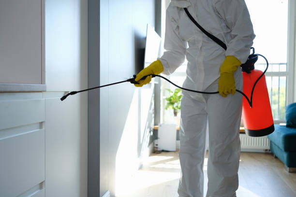 Best Office Mold Removal Services  in Park City, MT